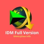 IDM 6.42 Build 12 Full Version